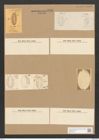 Diatomeae indet. (de-Toni-Nr.: Species 1818 ?, 1835 ?) Zeichnungen Sammlung Grunow Nr. 3718 (NHMW-BOT-W0371354)